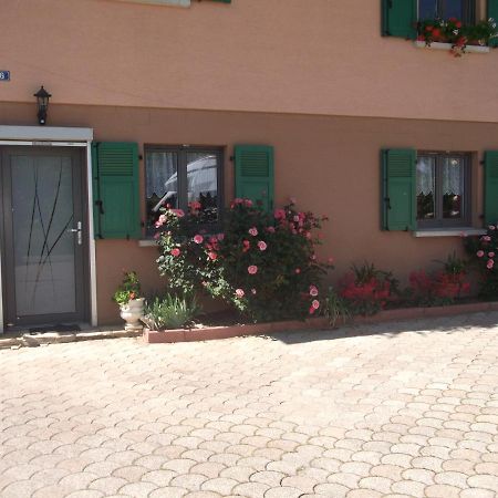 Gite Les Rosiers Traubach-le-Bas Zewnętrze zdjęcie